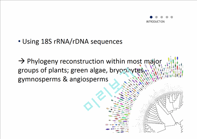 The Phylogeny of Land Plants Inferred from 18s  rDNA Sequences,Pushing the Limits of rDNA Signal   (8 )